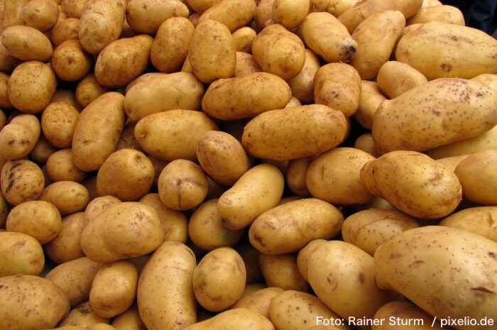 Das giftige Geheimnis der Kartoffel
